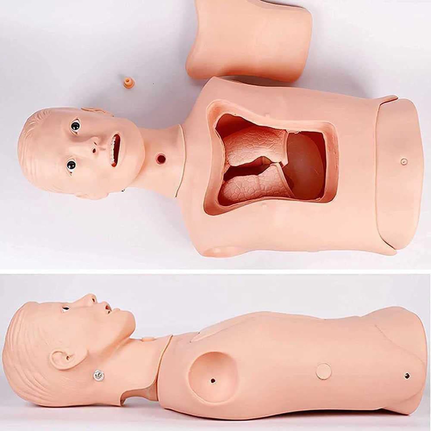 Intubation Gastric Tube Model Training Manikin Advanced Nasogastric Tube and Trachea Care Model Gastric Lavage Tracheostomy Model for Nurse and Medical Students