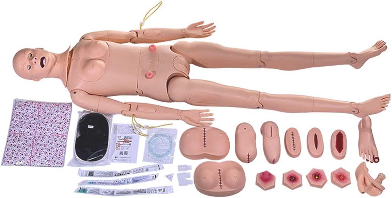 Patient Care Manikin Lifesize Anatal Human Model Demonstration Manikin Trauma Manikin Training Wound Decubitus Module Mannequin Model Medical Training N ls