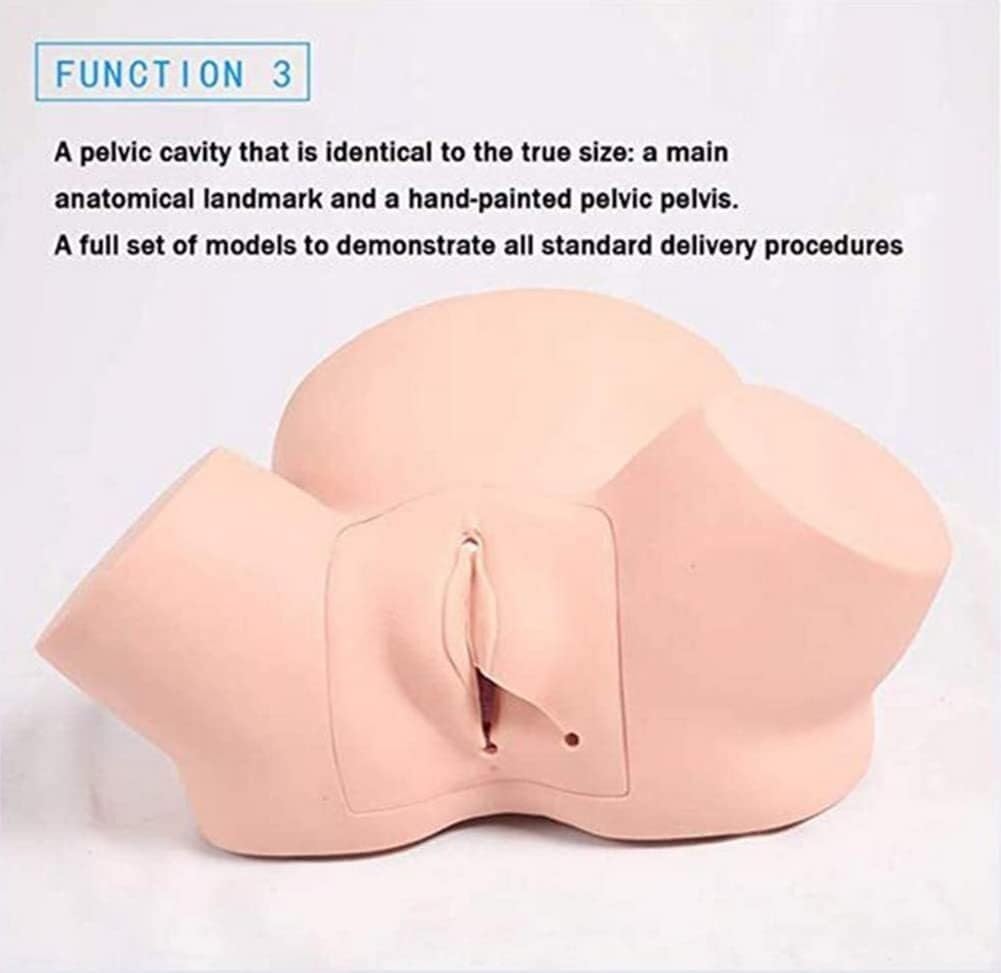 Midwifery Training Model Simulator Childbirth Demonstration Models Obstetrics and Gynecology Very Maternity Manikin for N Medical Training