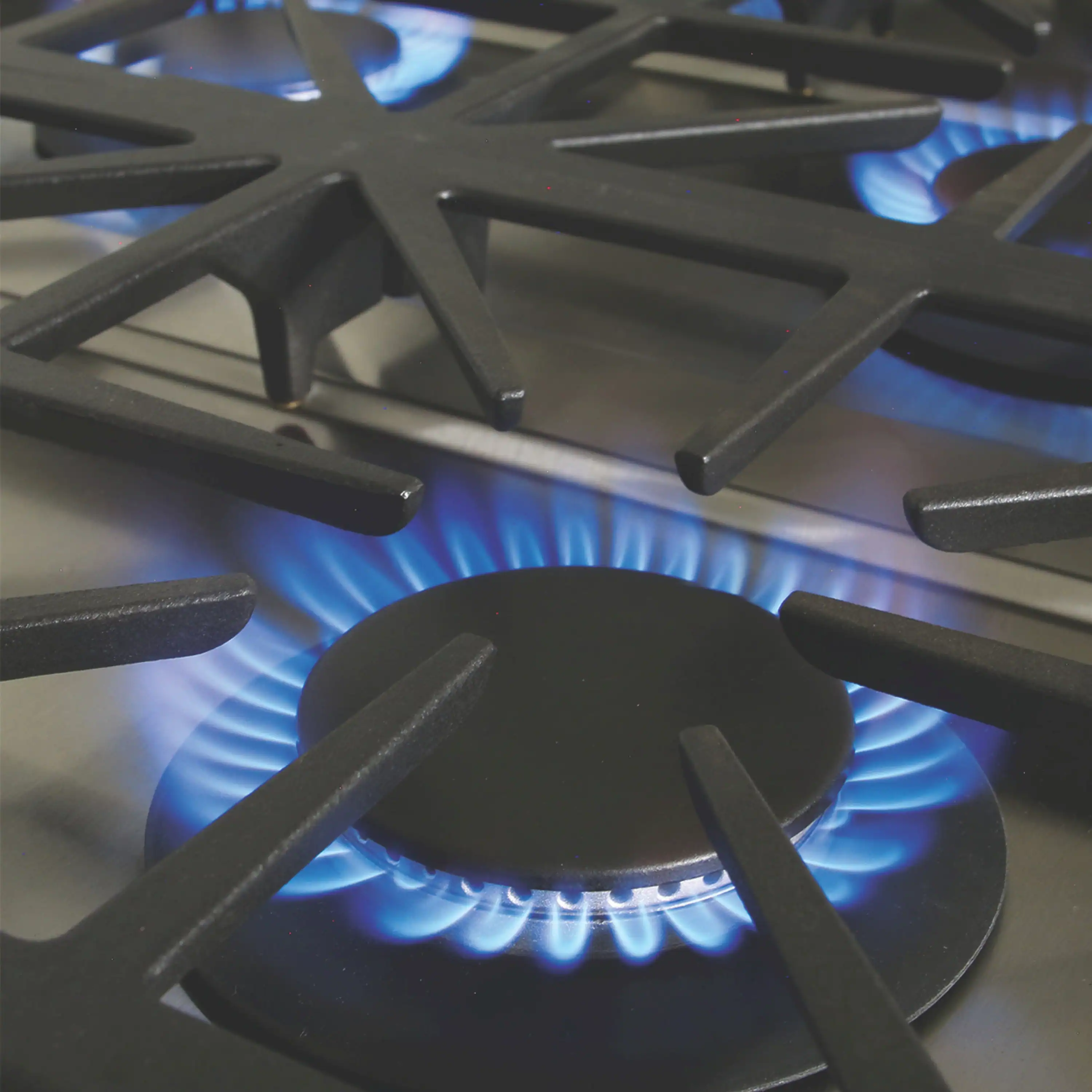 Capital 60-Inch Grand Chef Gas Range in Stainless Steel with 6 Sealed Burners, & 24-Inch Open Burner Wok (GSCR606CW)