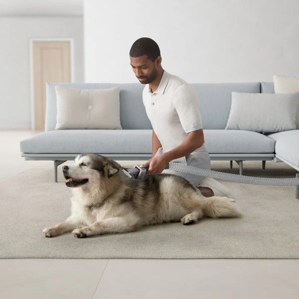 Dyson Ball Animal 3 Extra Upright Vacuum