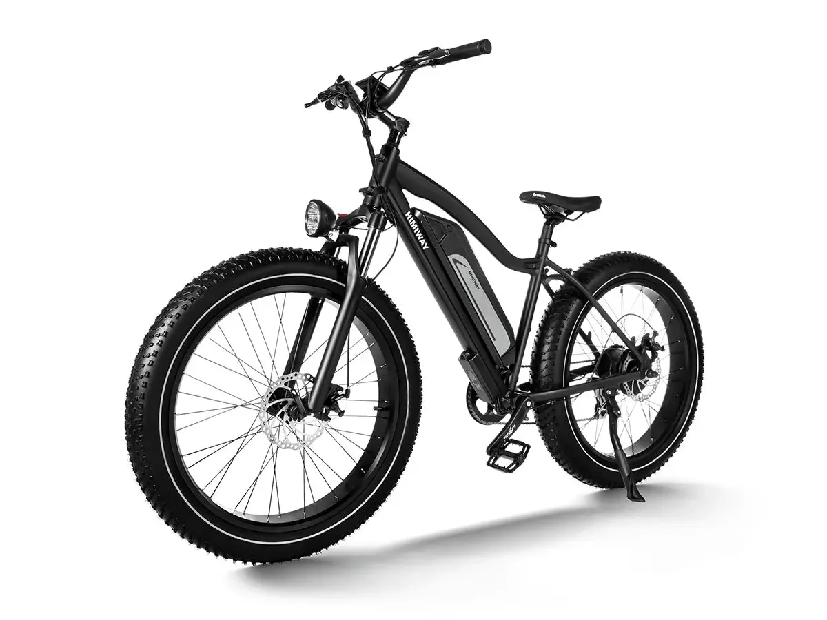 D3(Cruiser) / Long Range Fat Tire Electric Bike