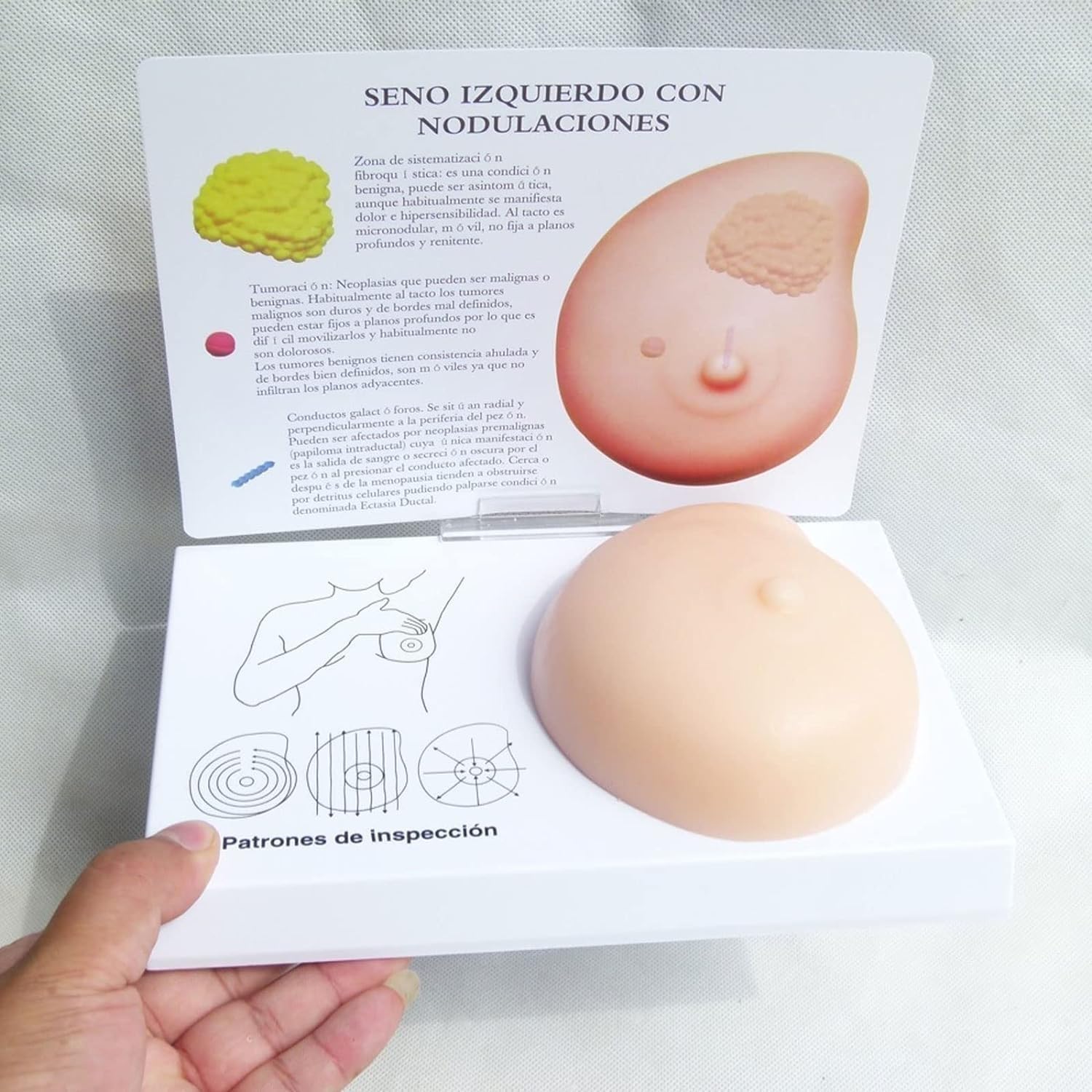 Female Breast Examination Model,Silicone Breast Cancer Model,Pathological Breast Model - Lumps Pathological Breast Self Test Model Medical Tool