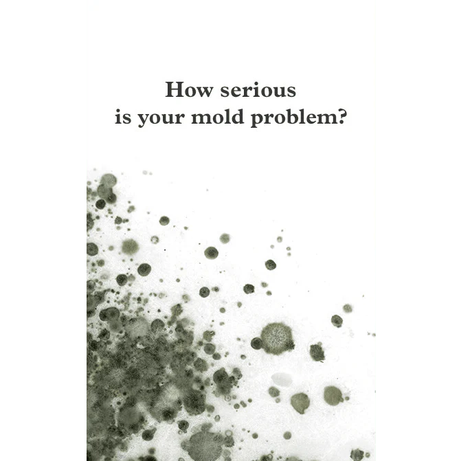 Mold Test Company DIY EPA-36 Mold Contaminants Test Kit