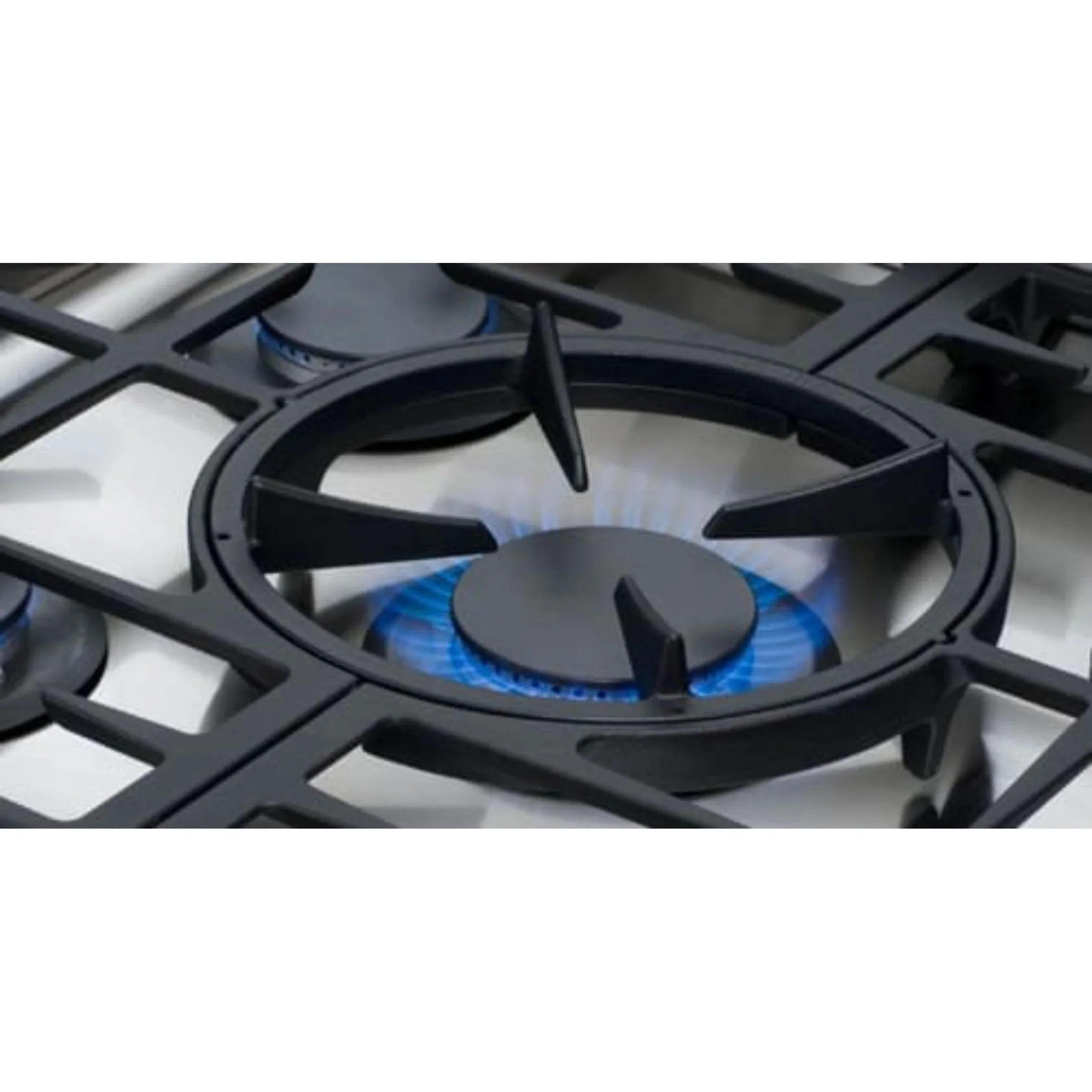 Capital 36-Inch Rangetop in Stainless Steel with 2 Sealed Burner & Sealed Burner Wok (GRT362W)