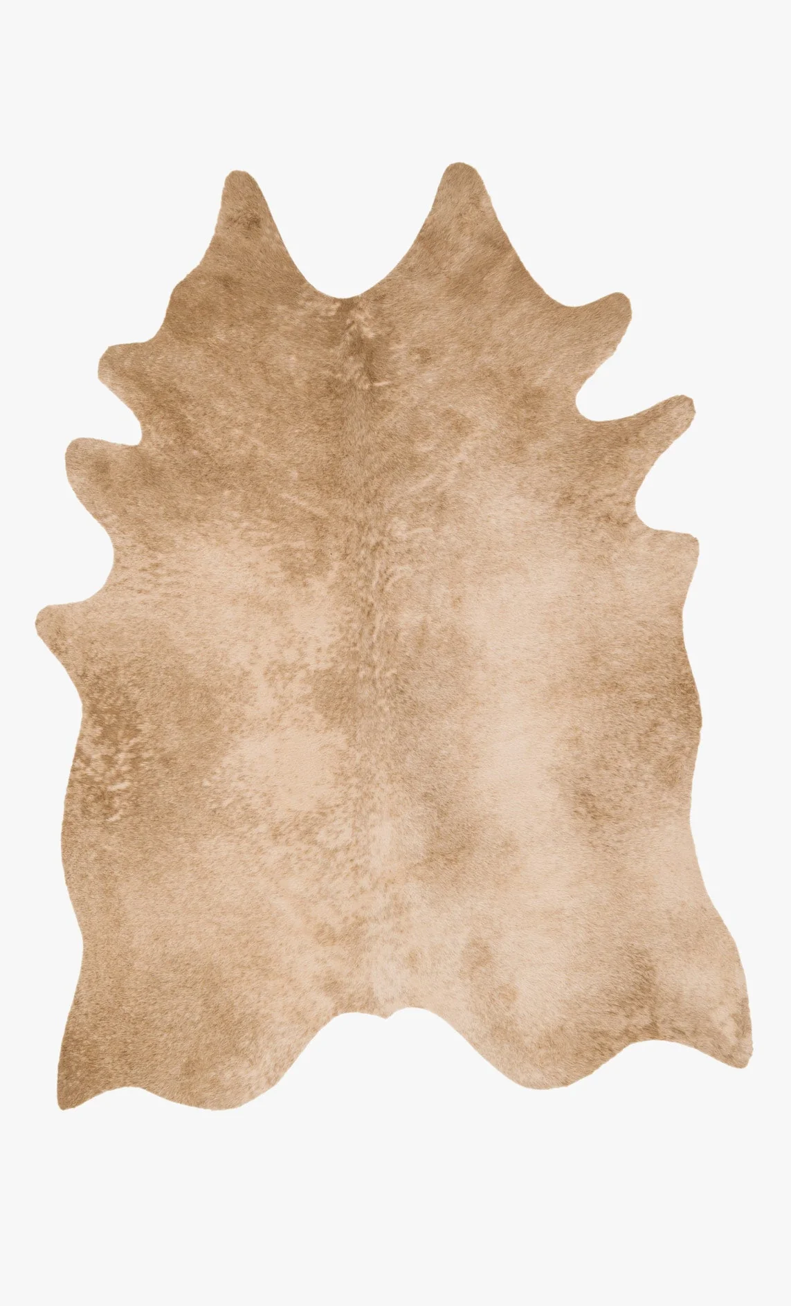 Loloi II Grand Canyon Collection - Transitional Power Loomed Rug in Tan (GC-09)