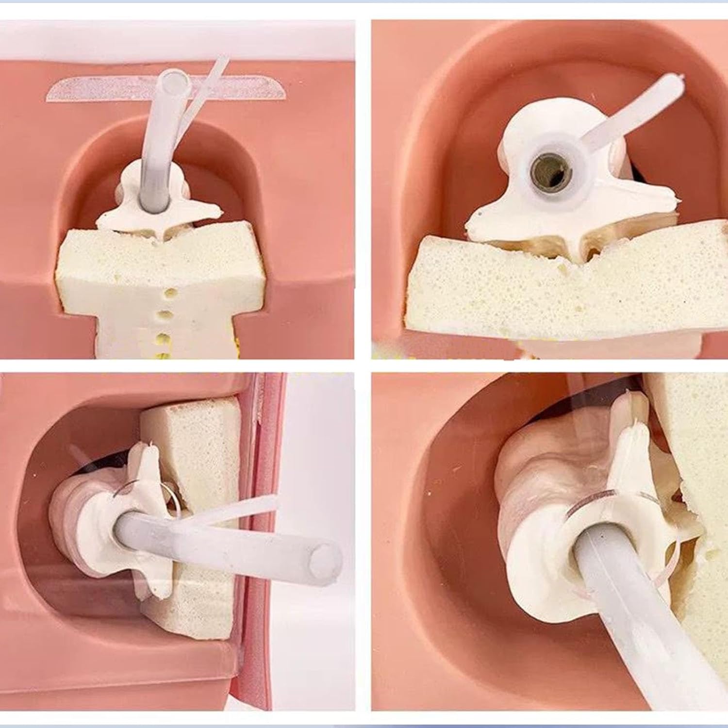 Spinal Puncture Model, Extradural/Sacral Puncture Model, Lumbar Puncture Human Nursing Model for Spinal and Epidural Anesthesia Clinical Training