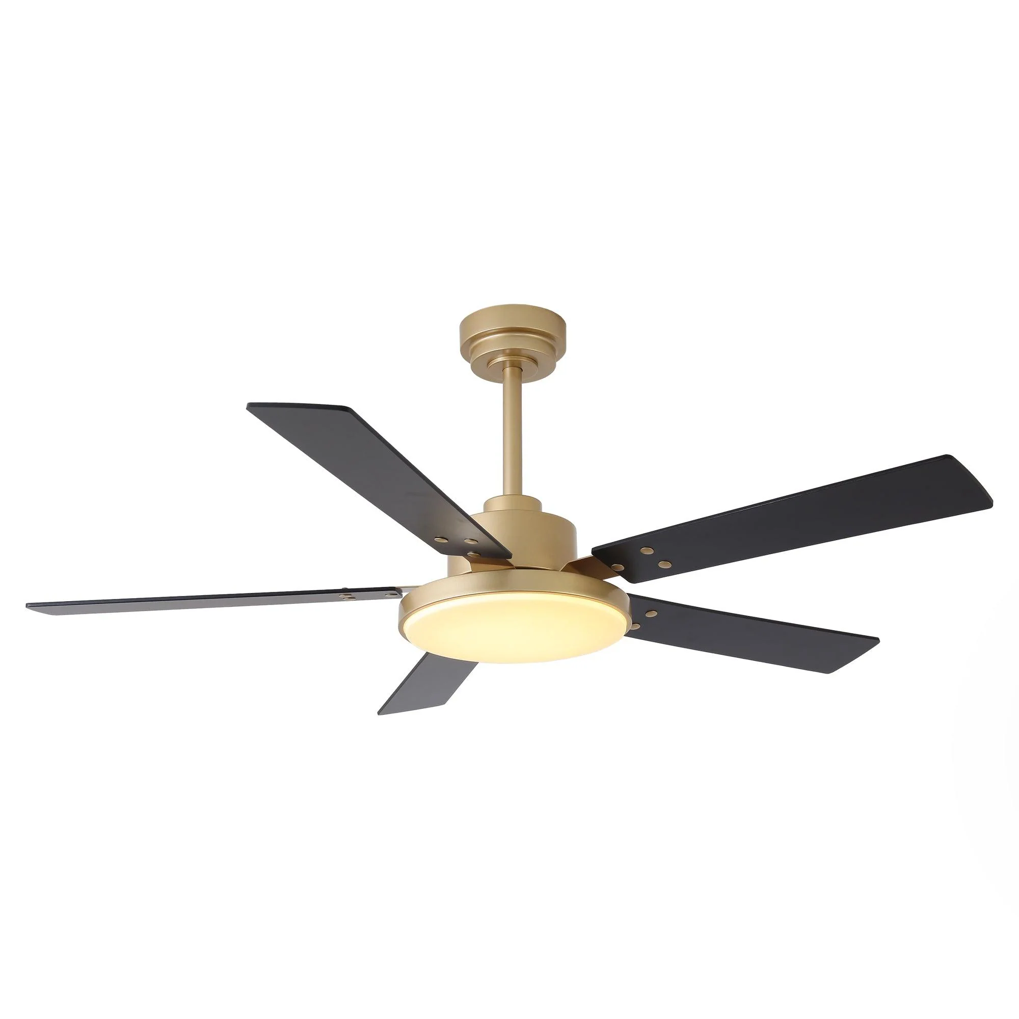 Parrot Uncle Vaczon 52-Inch Double-sided Blades Modern Ceiling Fan with Remote Control and LED Light