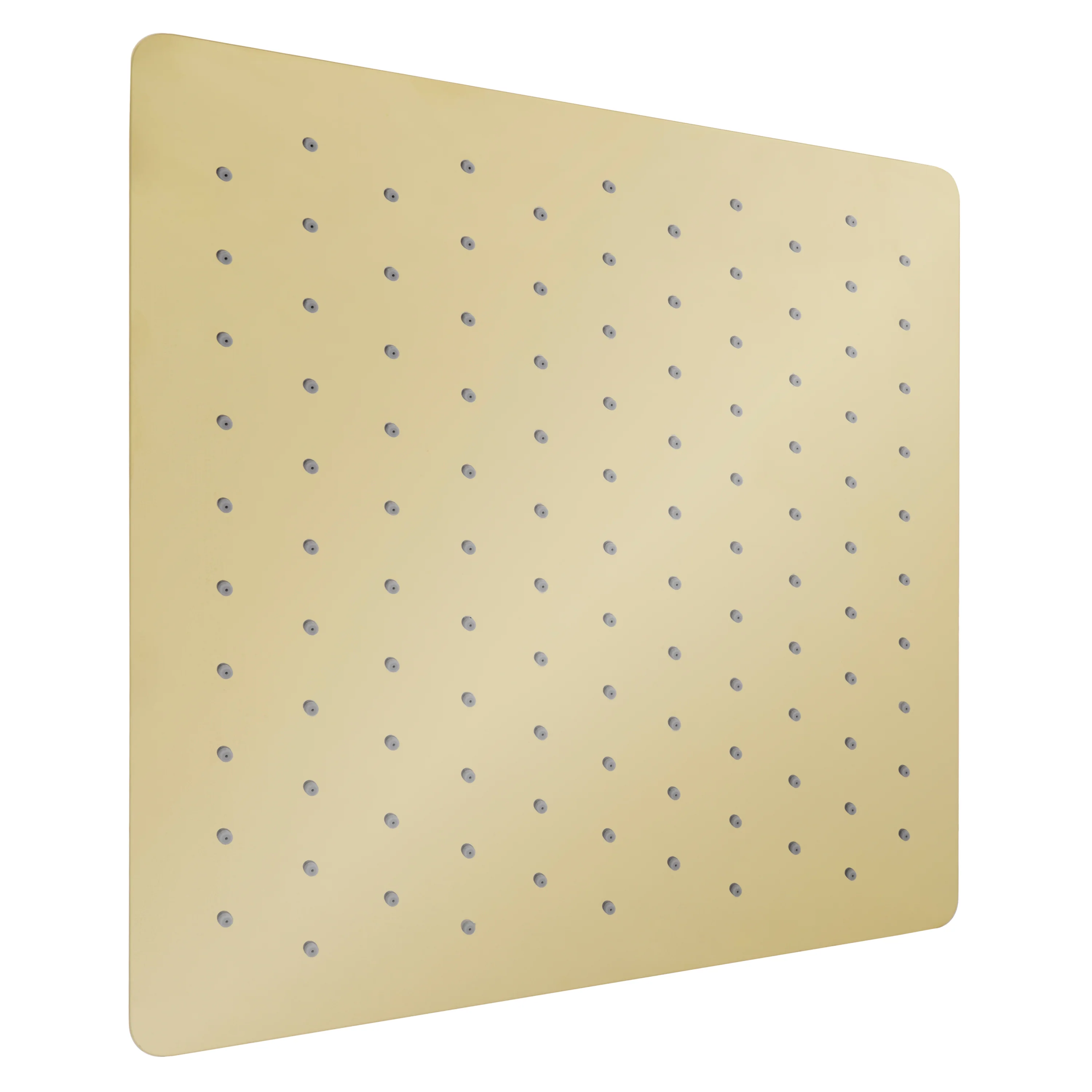 ZLINE 16-Inch Bliss Shower Head in Polished Gold (BLS-H16-PG)