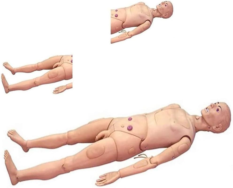 Patient Care Manikin, Training Manikin Teaching Model N Medical Science School Patient Care Full Body for Students Education Teaching Medical Training ls