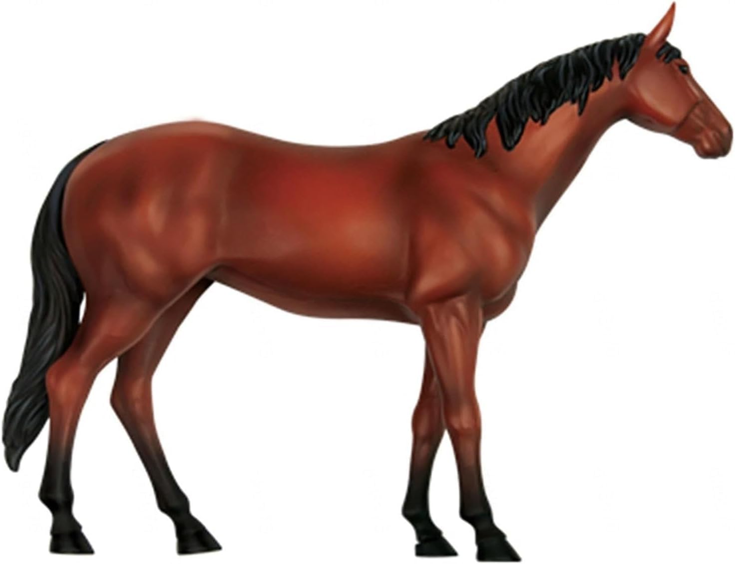 4D Horse Anatomy Model, Equine Acupuncture Model, Animal Skeleton Specimen, Detachable 26 Parts, Medical Teaching Model for Pet Clinic Veterinary Training Demonstration. ﻿