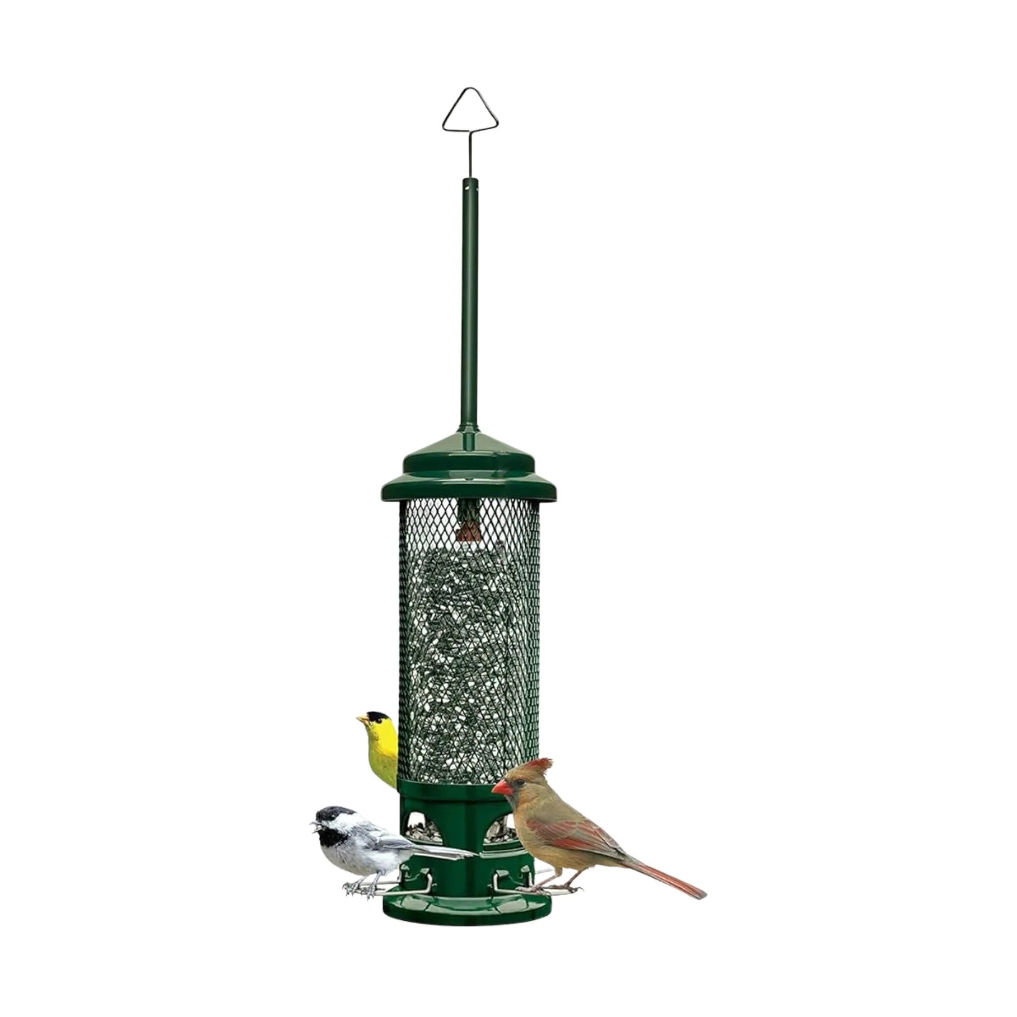 Brome Squirrel Buster Legacy Squirrel-Proof Bird Feeder with 4 Metal Perches