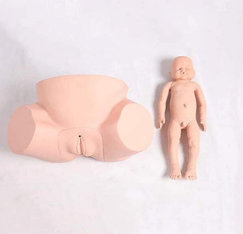 Midwifery Training Model Simulator Childbirth Demonstration Models Obstetrics and Gynecology Very Maternity Manikin for N Medical Training