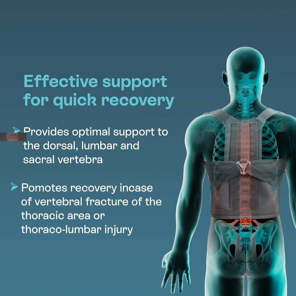 Universal Back Support Brace, Grey, Adjustable, Nylon Material, 1 Unit