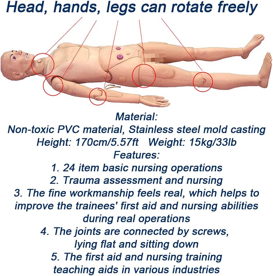 Teaching Model Tools Basic N ls Geriatric Training Manikin with Simulation Visceral & Replaceable Wound Modules & Storage Bag for Students Education Medical Tra