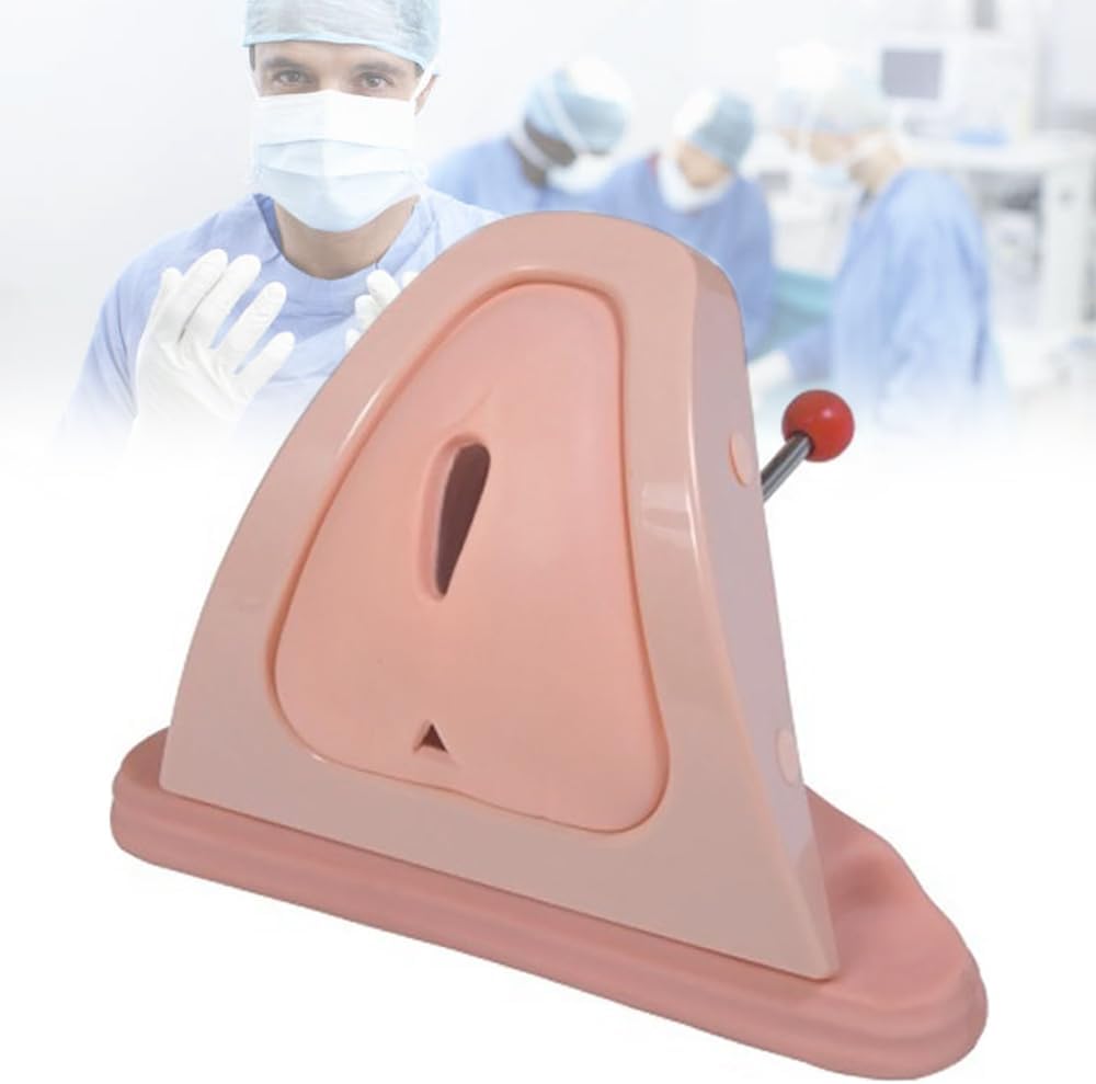Perineum Cut Suture Practice Model, Female Reproductive System Anatomy Model, Lifelike Perineum Repair Simulator, for Cutting and Suturing Training, Medical Colleges Use