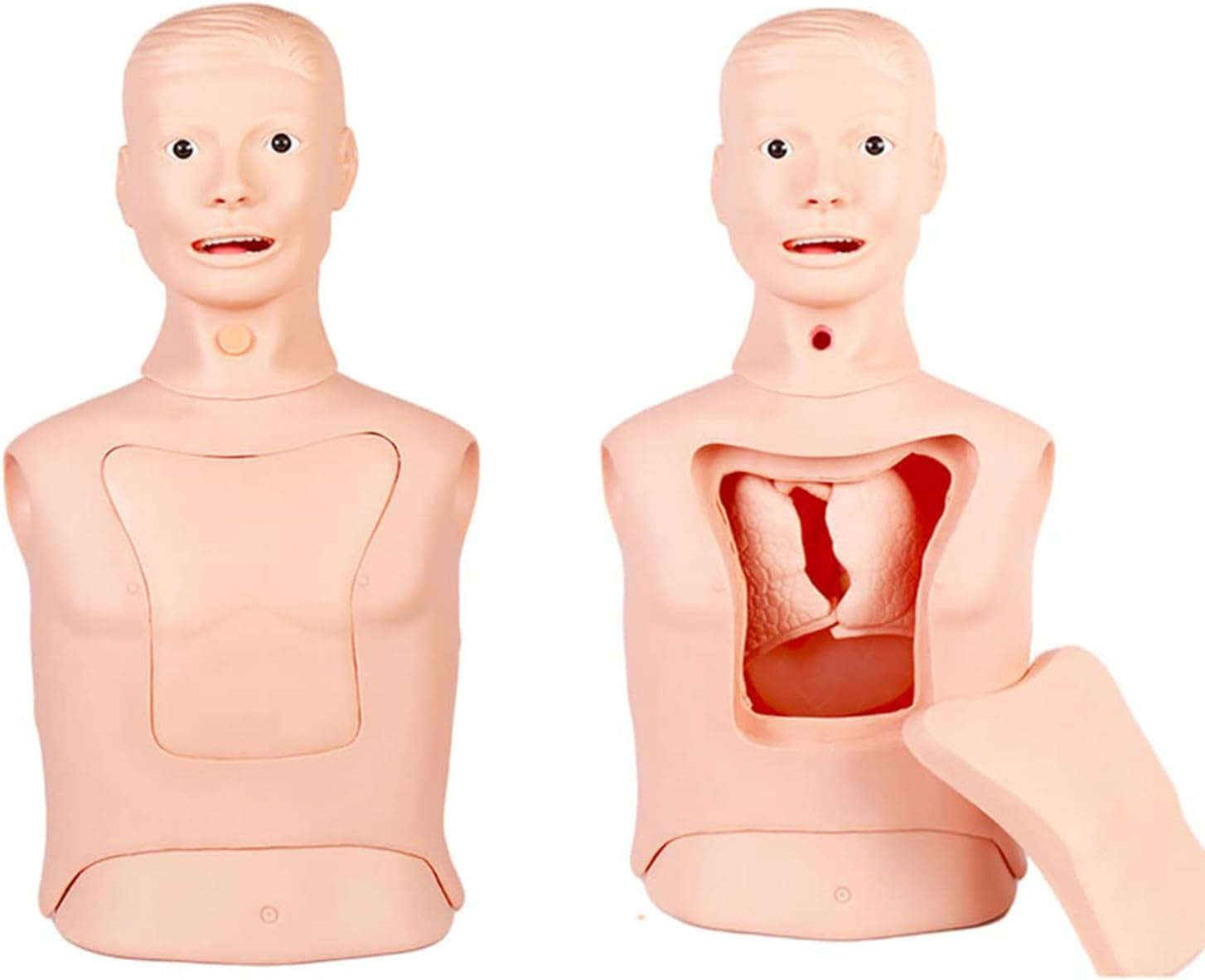 Intubation Gastric Tube Model Training Manikin Advanced Nasogastric Tube and Trachea Care Model Gastric Lavage Tracheostomy Model for Nurse and Medical Students