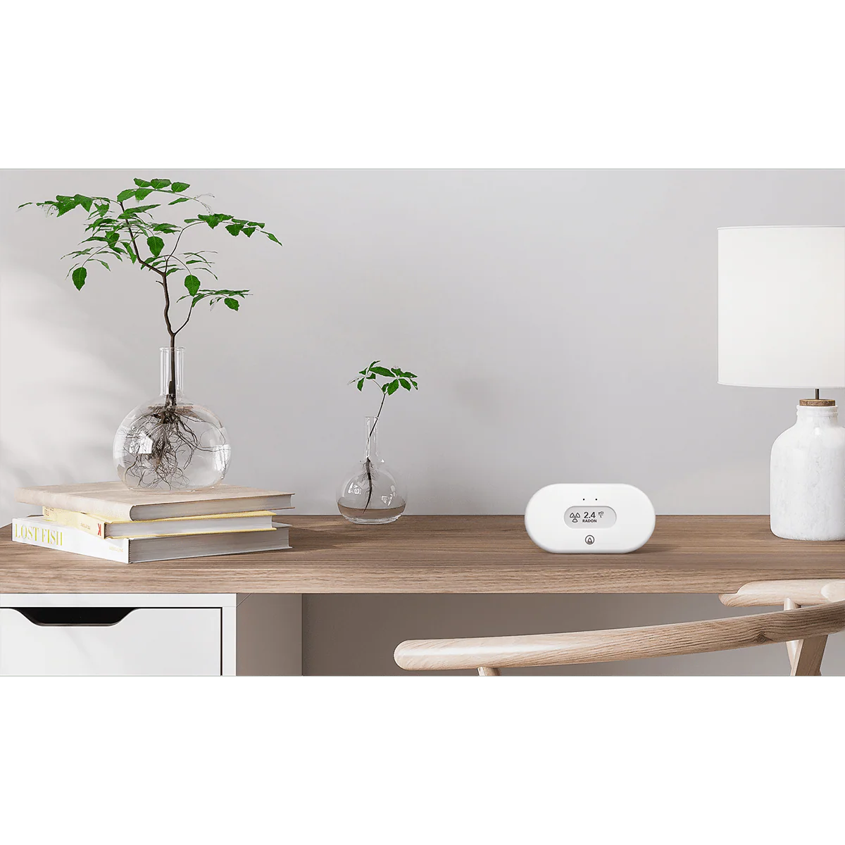 Airthings View Radon Monitor