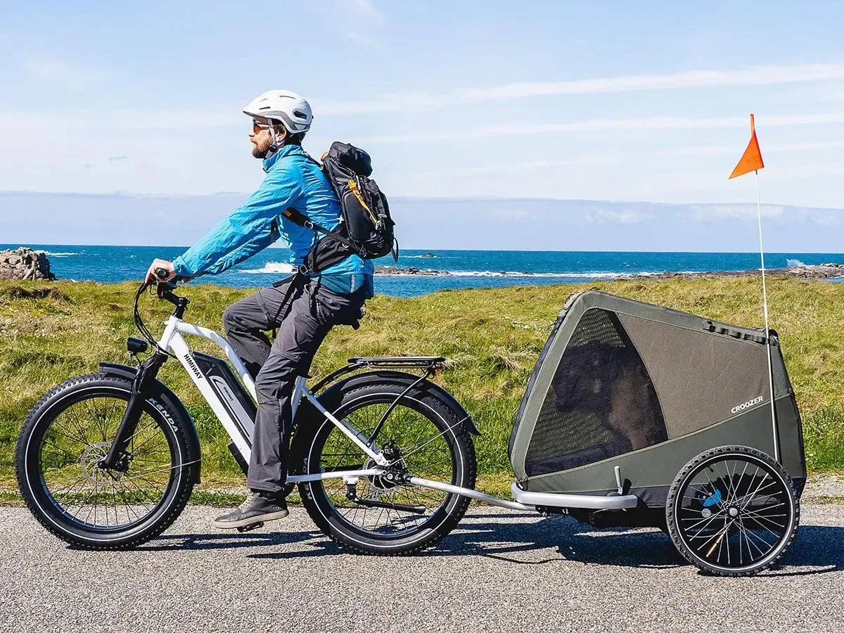D3 ST(Cruiser ST) / All Terrain Electric Bike
