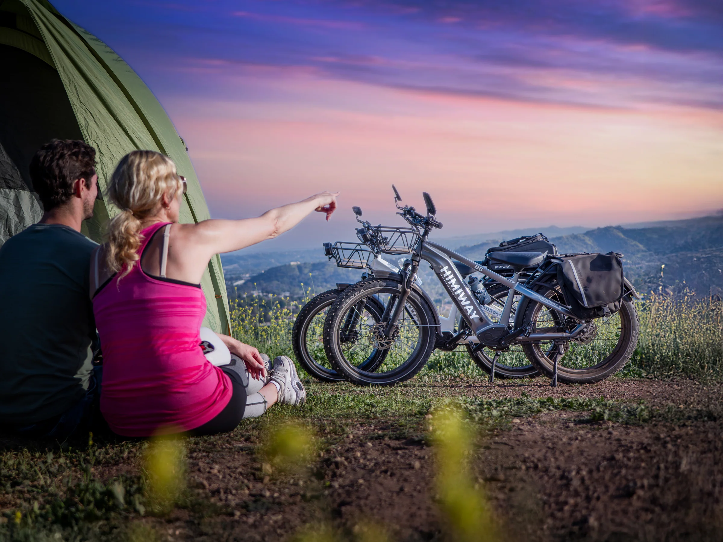 D5 ST(Zebra ST) / All-terrain Electric Fat Bike