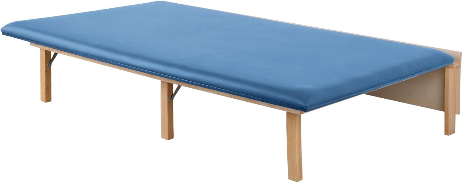 Wall-Mounted Folding Physical Therapy Table, Blue Exam Table for PT, 500 lbs Weight Capacity