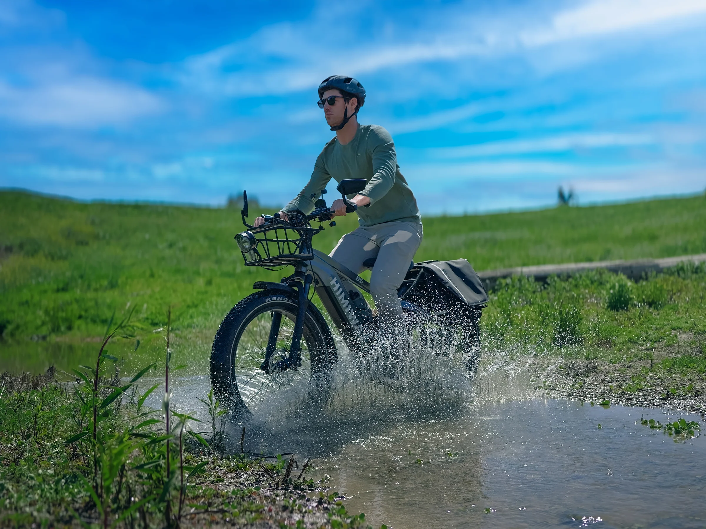 D5(Zebra) / All-terrain Electric Fat Bike