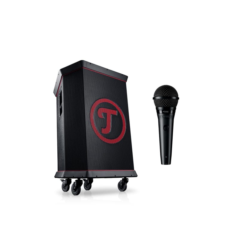 ROCKSTER + Shure PGA58