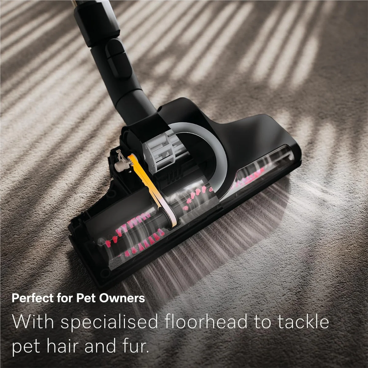 Miele Guard L1 Cat & Dog Canister Vacuum
