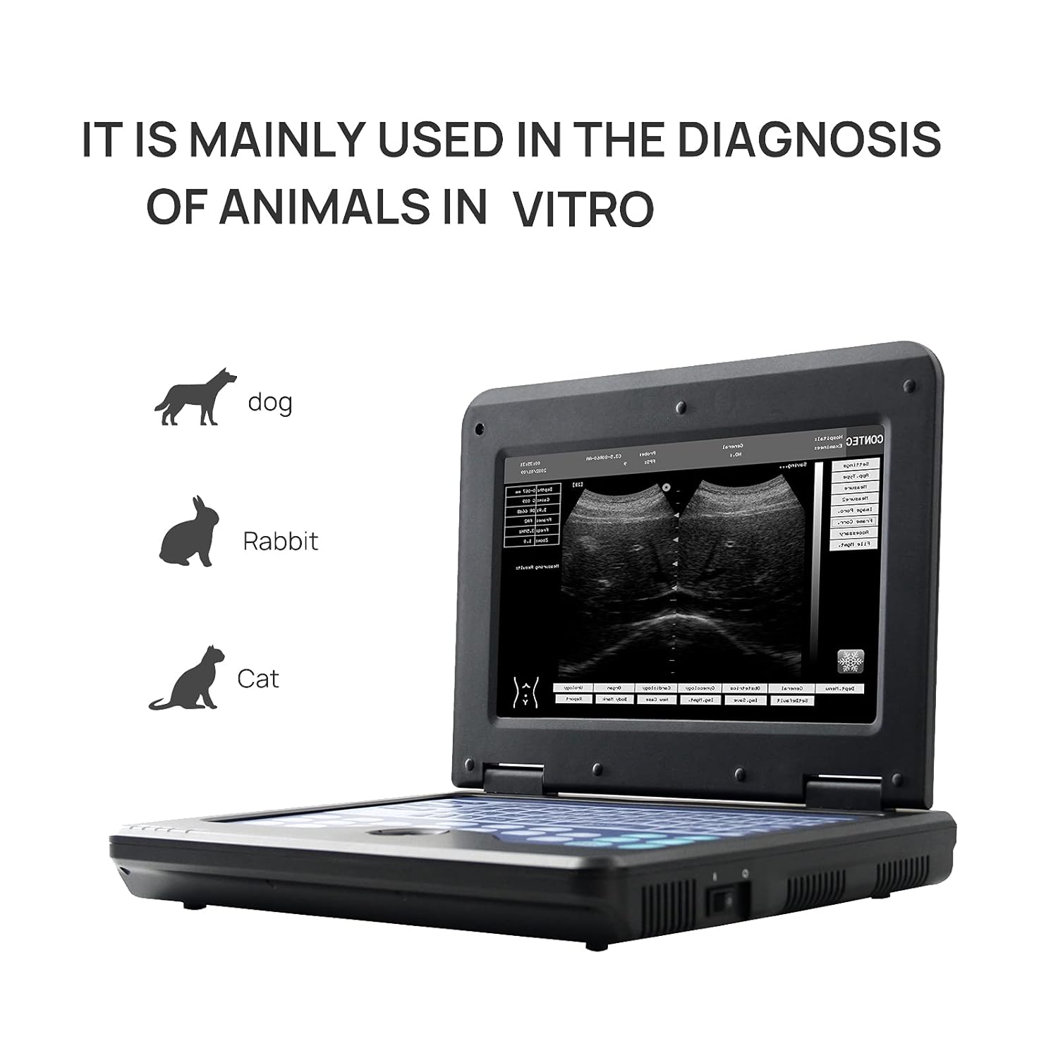 CONTEC Portable Veterinary Ultrasound Scanner for Pregnancy Check On Animals Snake Dog Cat Rabbit with Linear Probe