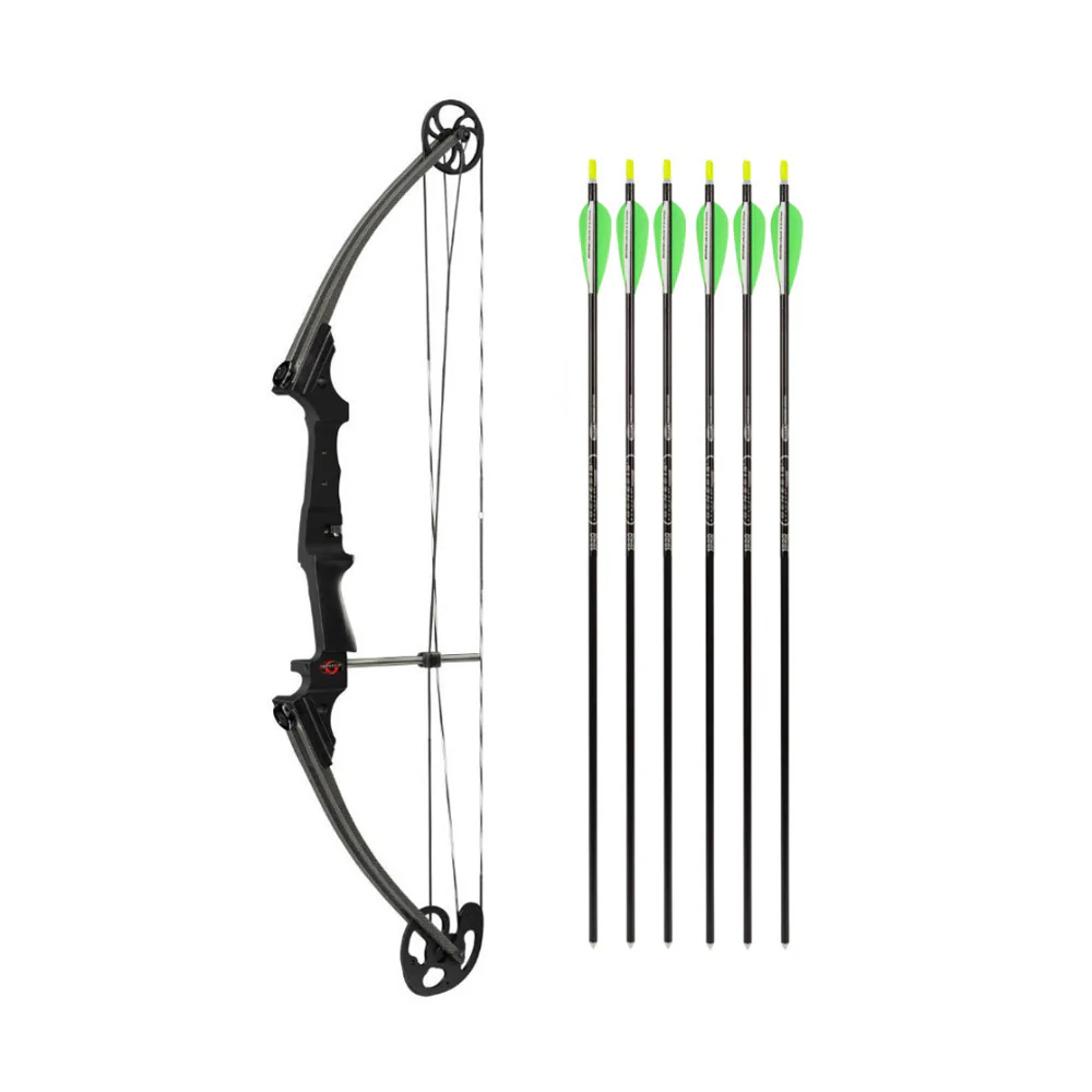 Genesis Archery Original Compound Bow (Right Hand, Black) and Six Arrows