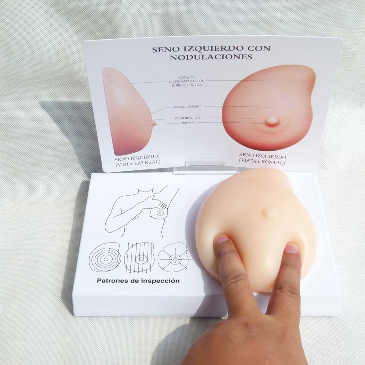 Female Breast Examination Model,Silicone Breast Cancer Model,Pathological Breast Model - Lumps Pathological Breast Self Test Model Medical Tool