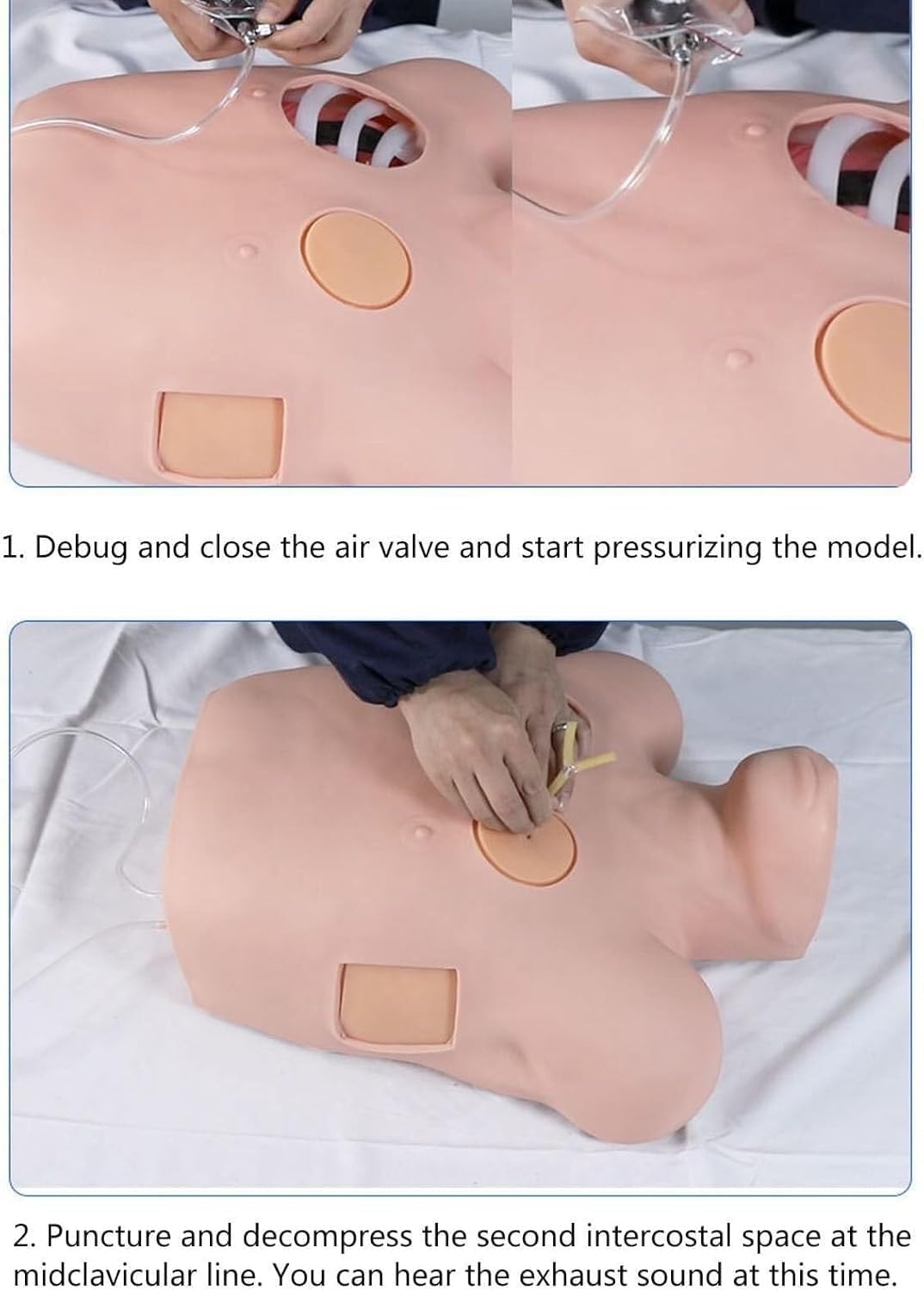 Patient Care Simulator, Thoracentesis and Drainage Model, Thoracentesis Training Manikin, PVC Anatomical Model, Pneumothorax and Liquid Chest Closed Drainage Operation Training Teaching Model.