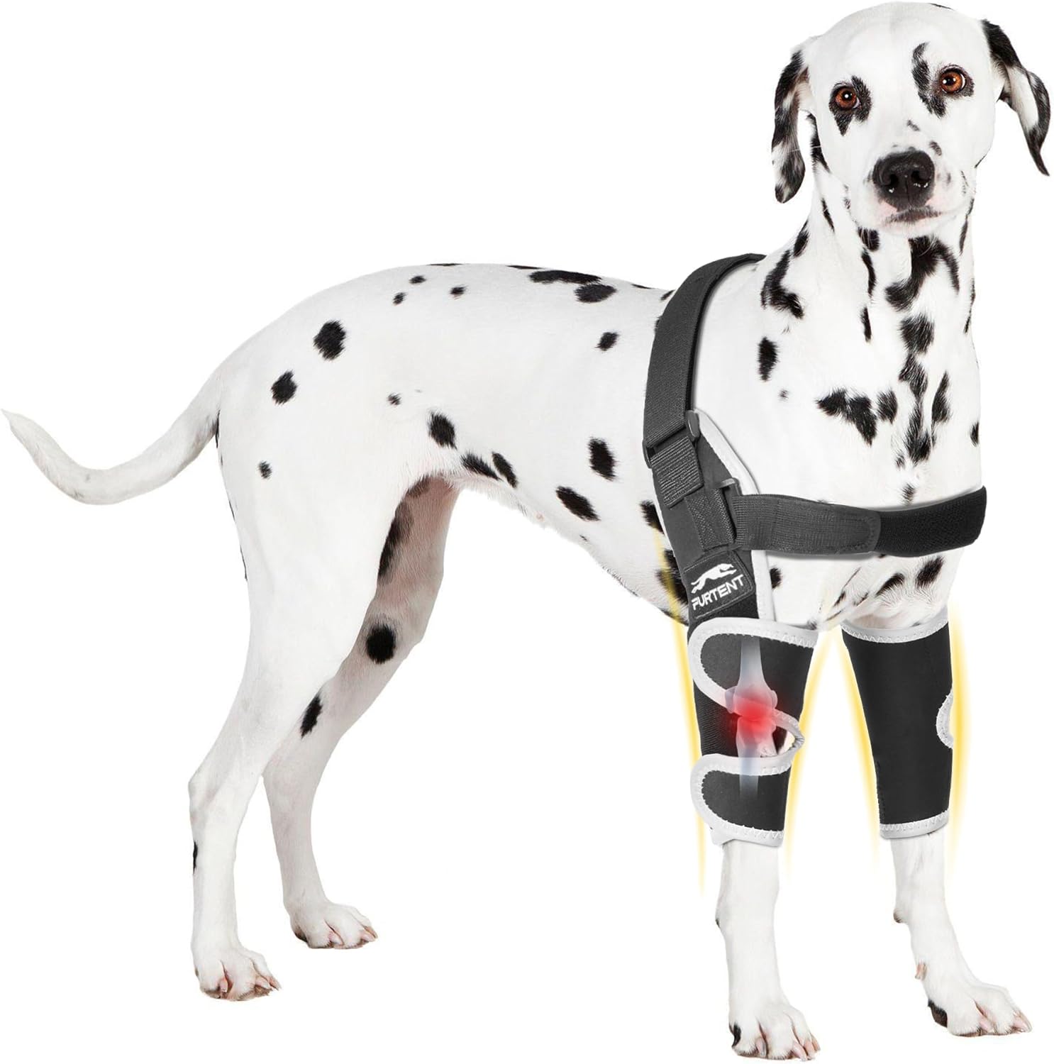 Dog Elbow Brace for Elbow and Shoulder Support, Elbow Hygroma Dysplasia Dislocation, Reflective Dog Recovery Suit, Helps Front Leg Wound Healing, Prevents Licking, XL