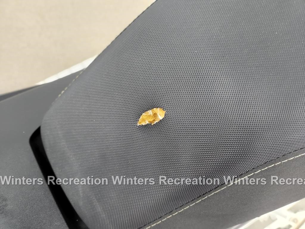 2024 Ski-Doo Renegade Sport 600 Ace Snowmobile, Black & Yellow