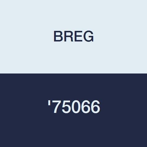 BREG '75066 Kit, Refurbished, Cx2K Cf XXL