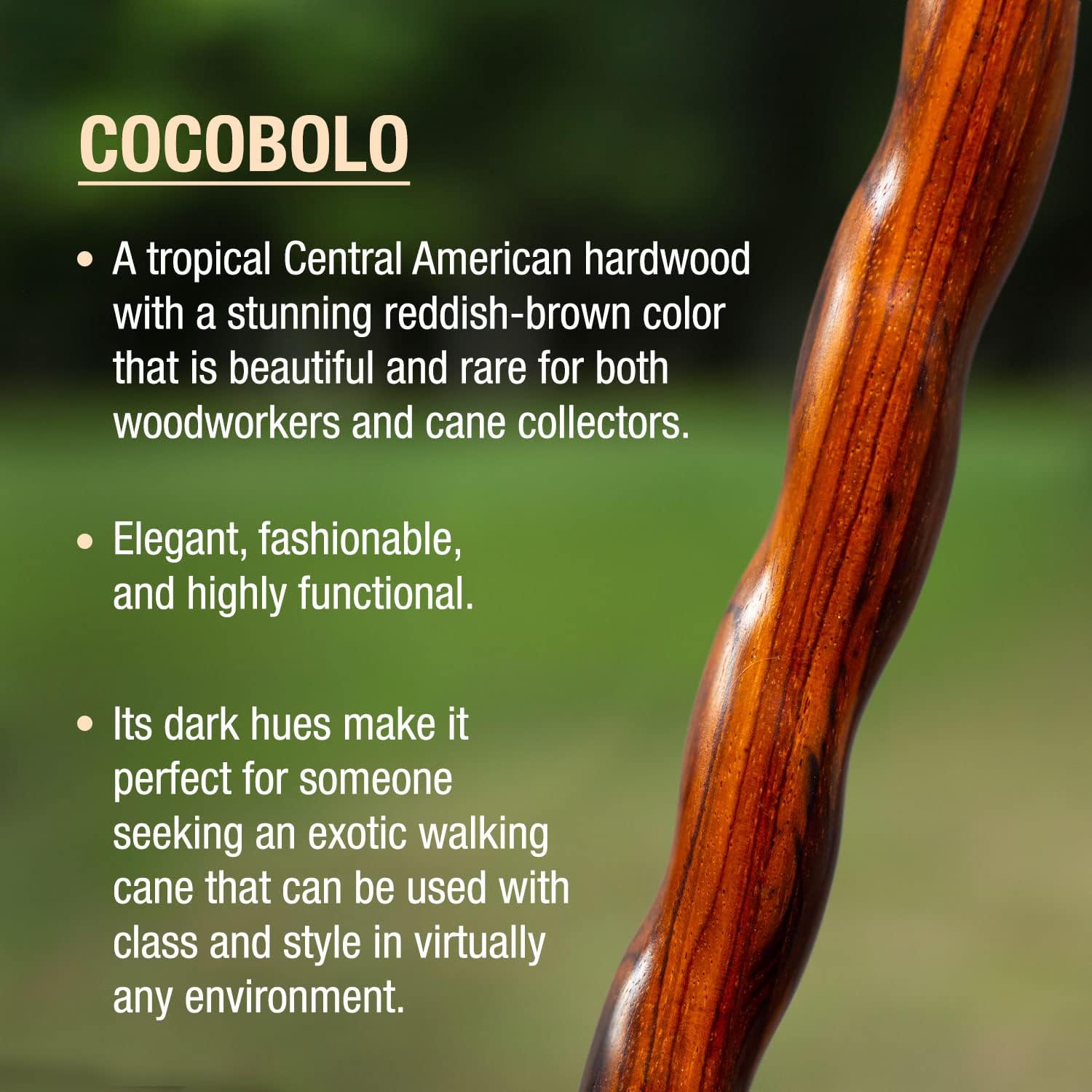 Brazos Handcrafted Wood Walking Cane, Twisted Cocobolo, Derby Style Handle, for Men & Women, Made in the USA, 37