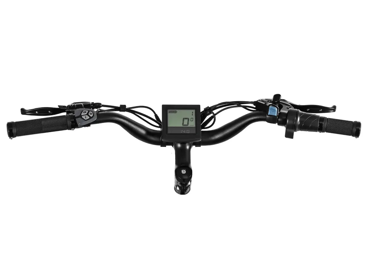 D3 ST(Cruiser ST) / All Terrain Electric Bike