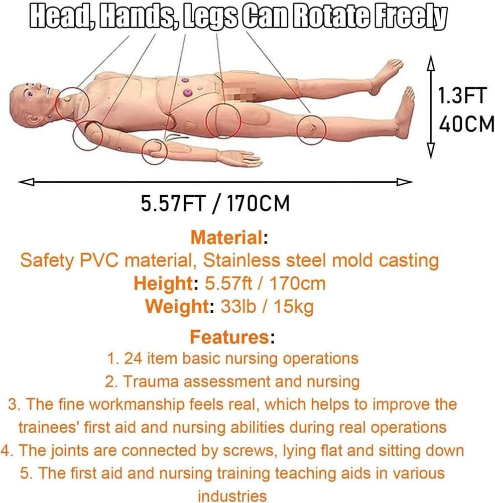 Patient Care Manikin, Training Manikin Teaching Model N Medical Science School Patient Care Full Body for Students Education Teaching Medical Training ls