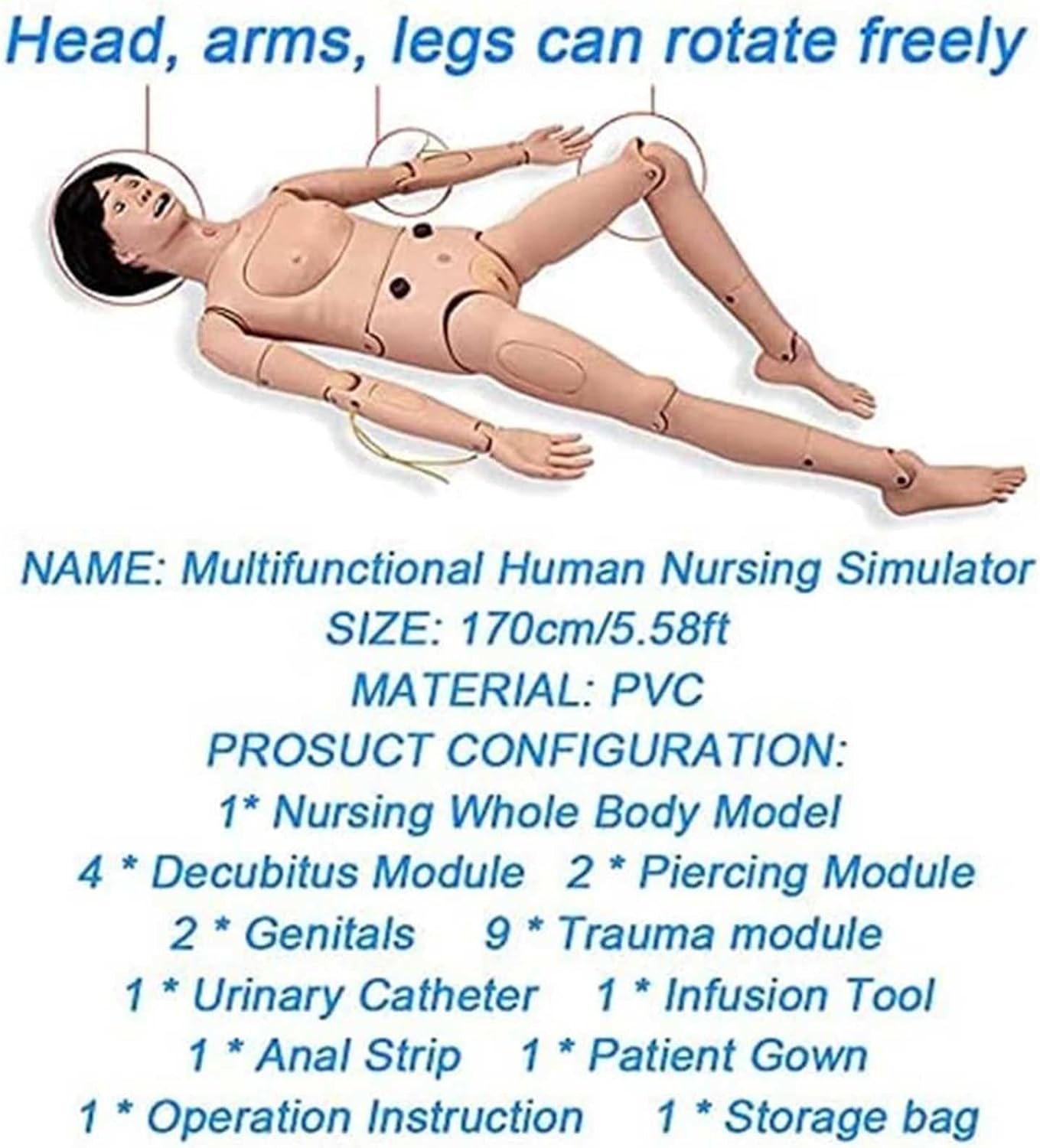 Scientific Anatal Human Model Geriatric Patient Care ls Training Manikin with Interchangeable Genitals and Bedsore Modules N Manikin for N Medical Training Teaching