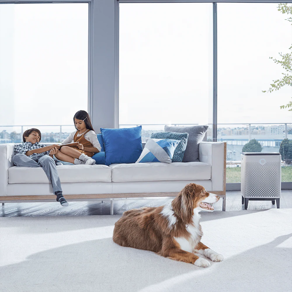 Airmega 300 HEPA Air Purifier