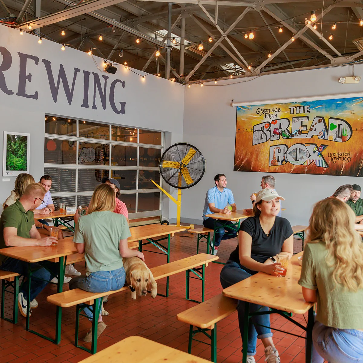 Big Ass Fans AirEye Low Rider Pedestal Fan