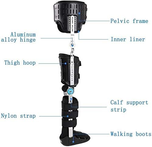 Hinged Knee Brace Knee Ankle Foot Fixation Orthosis, Comfortable Adjustable Ankle Foot Orthosis Brace, Leg Fracture, Foot and Orthotics of Lower Limbs (Leftleg-C(L)