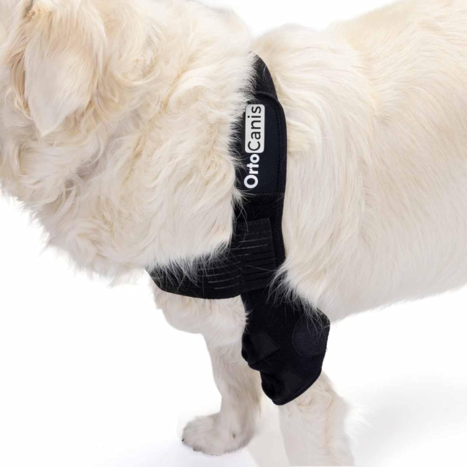 Ortocanis - Elbow Orthosis for Dogs with Elbow Arthritis. Hygromas or Shoulder Dislocation. Size XL