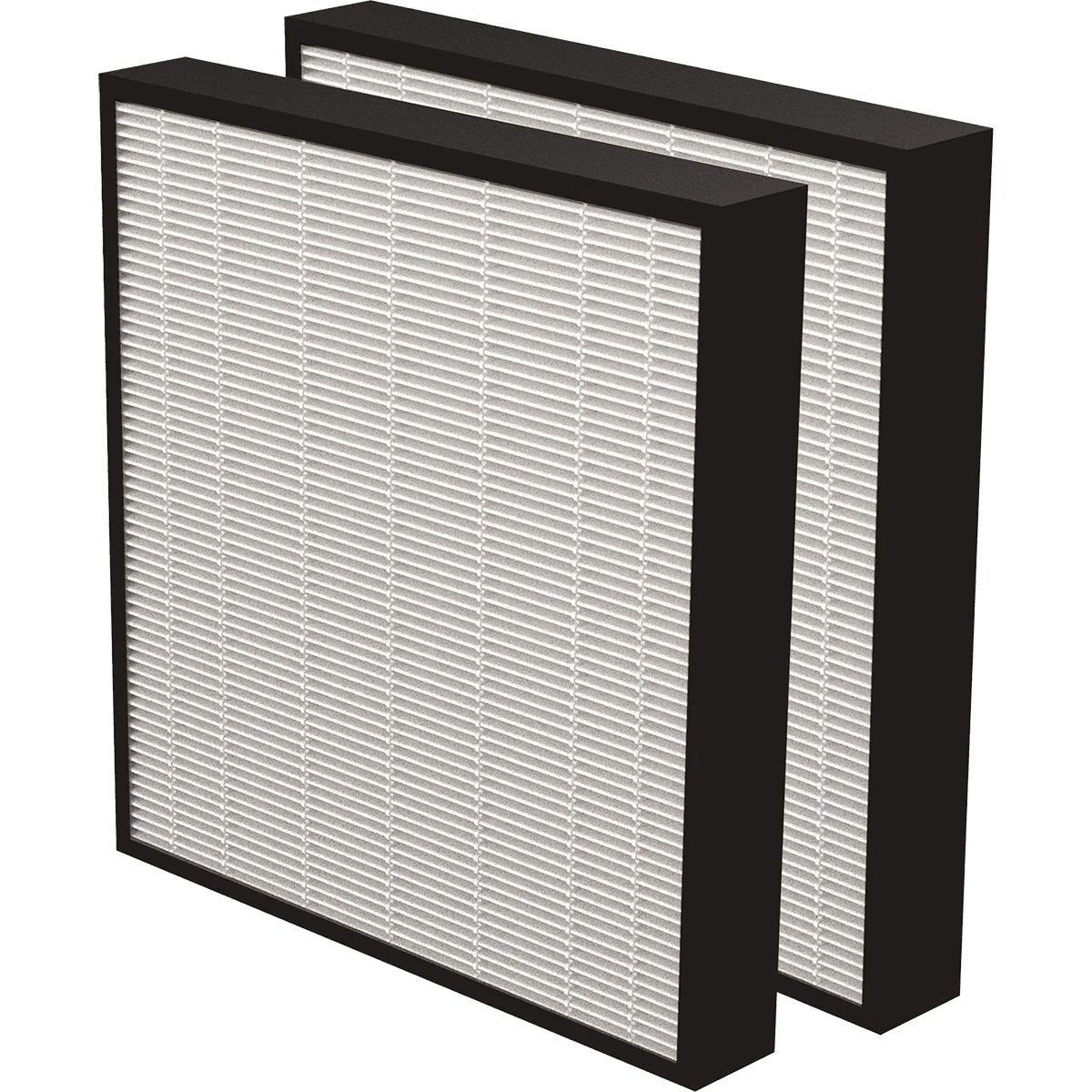 AeraMax PRO True HEPA 2-inch Filter - 2-Pack