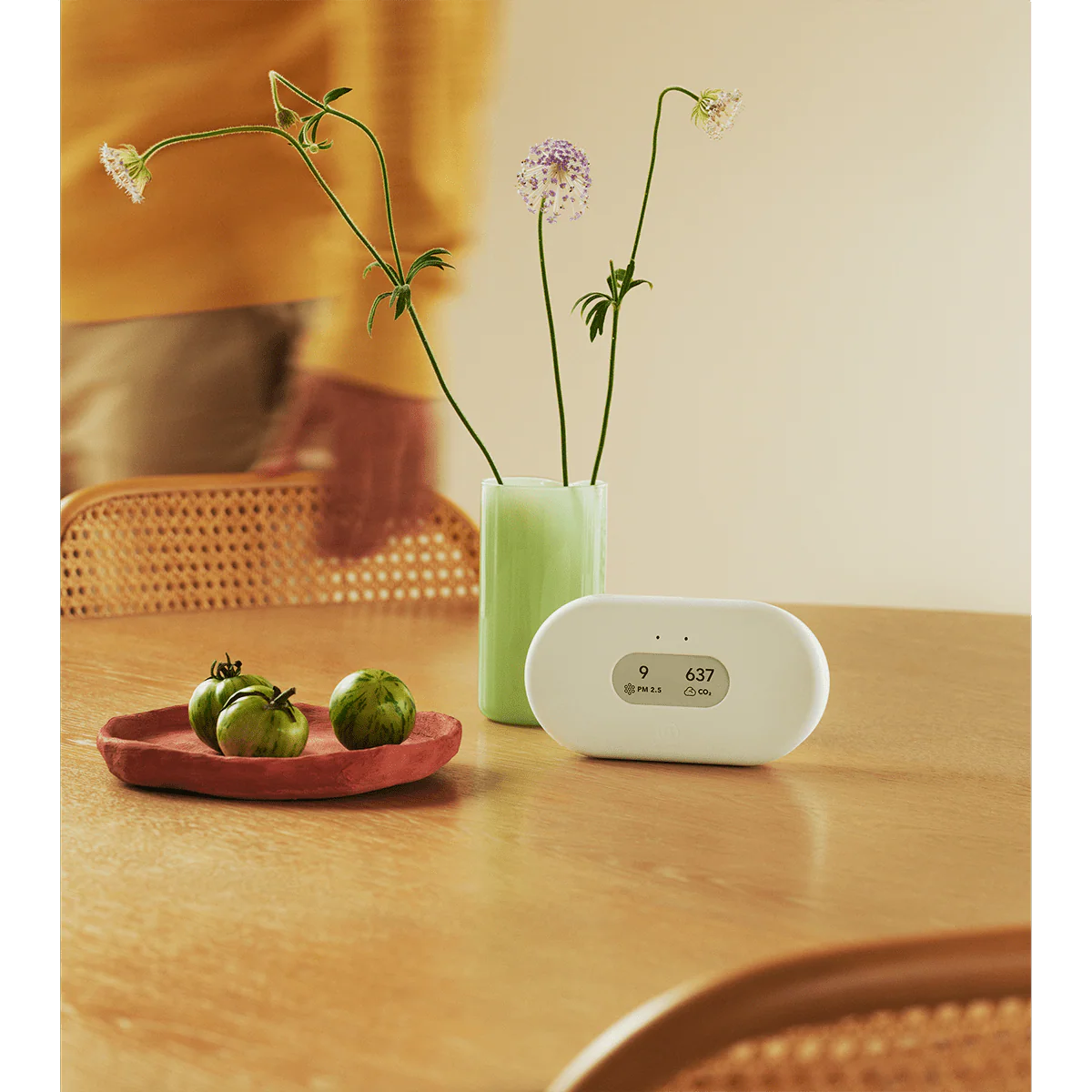 Airthings View Plus Radon & Air Quality Monitor