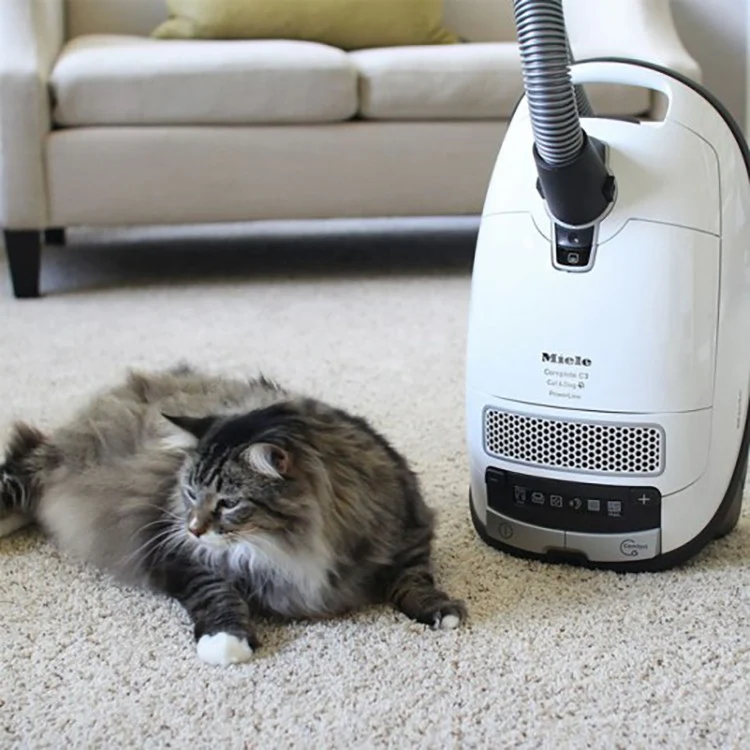 Miele Refurbished Complete C3 Cat & Dog Canister Vacuum