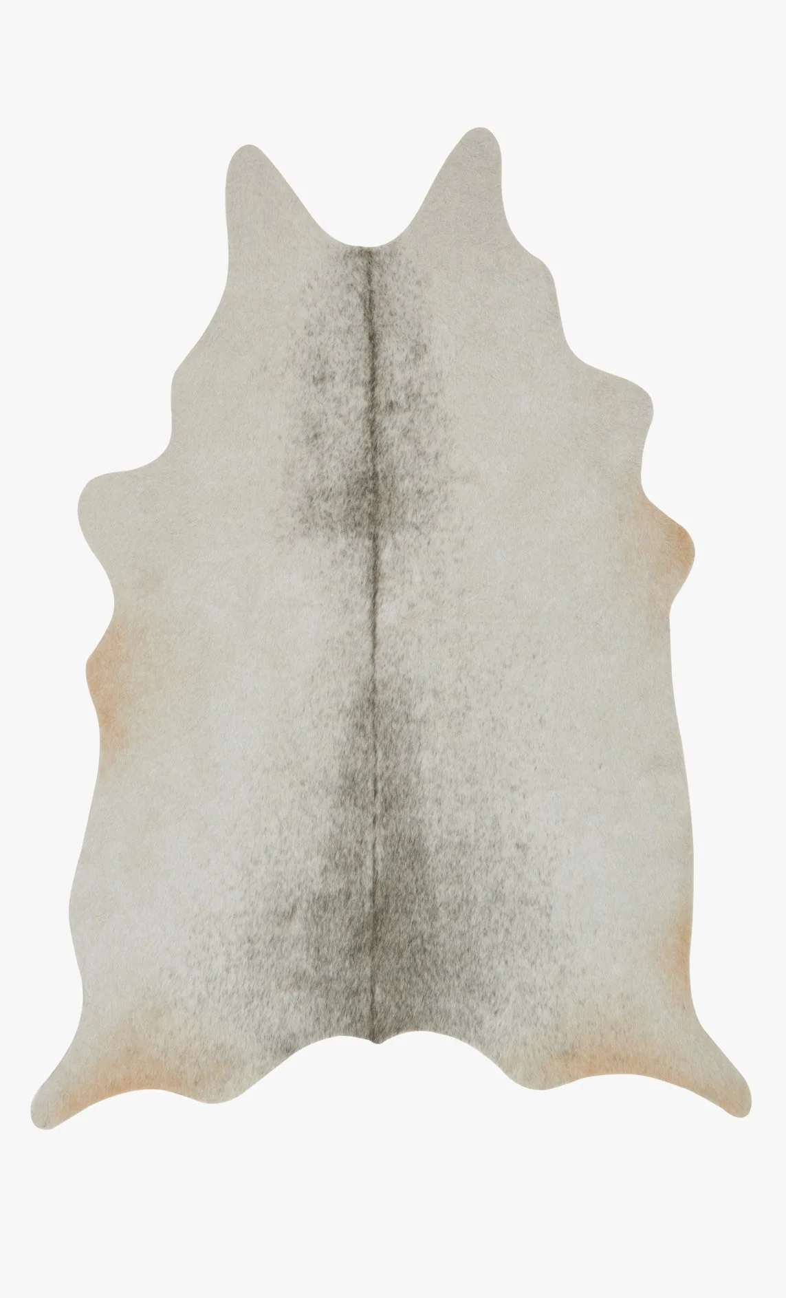 Loloi II Grand Canyon Collection - Transitional Power Loomed Rug in Silver & Grey (GC-15)