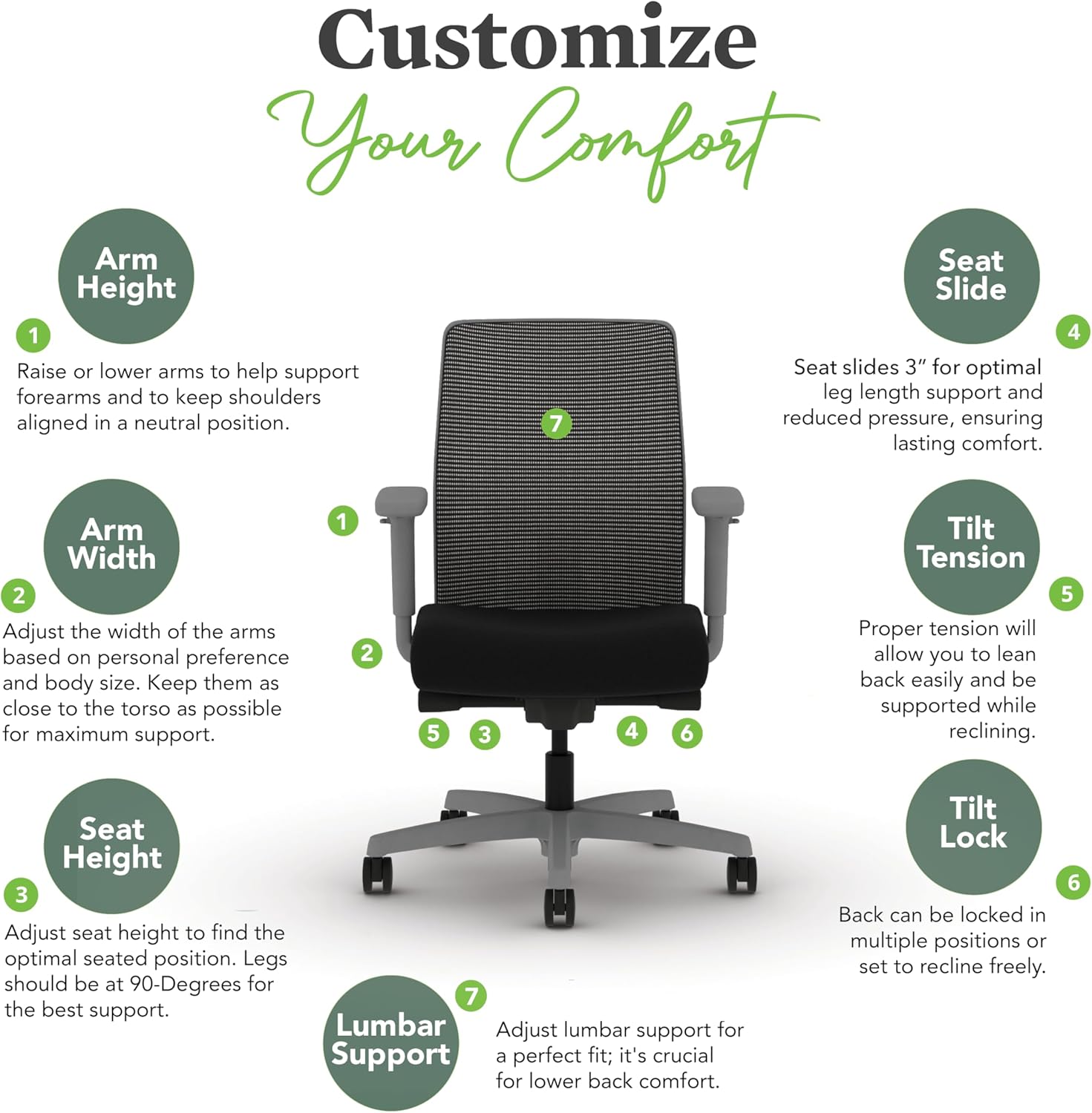 HON Ignition 2.0 Low Back Task Chair, Spectrum Mesh, Advanced Synchro-Tilt Control, Office Chair with Lumbar Support, Height and Width Adjustable Arms, Titanium Frame, Blueberry