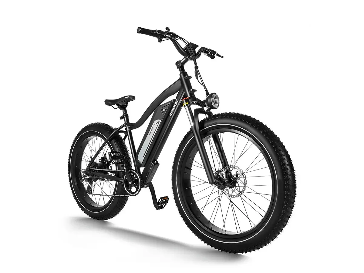 D3(Cruiser) / Long Range Fat Tire Electric Bike