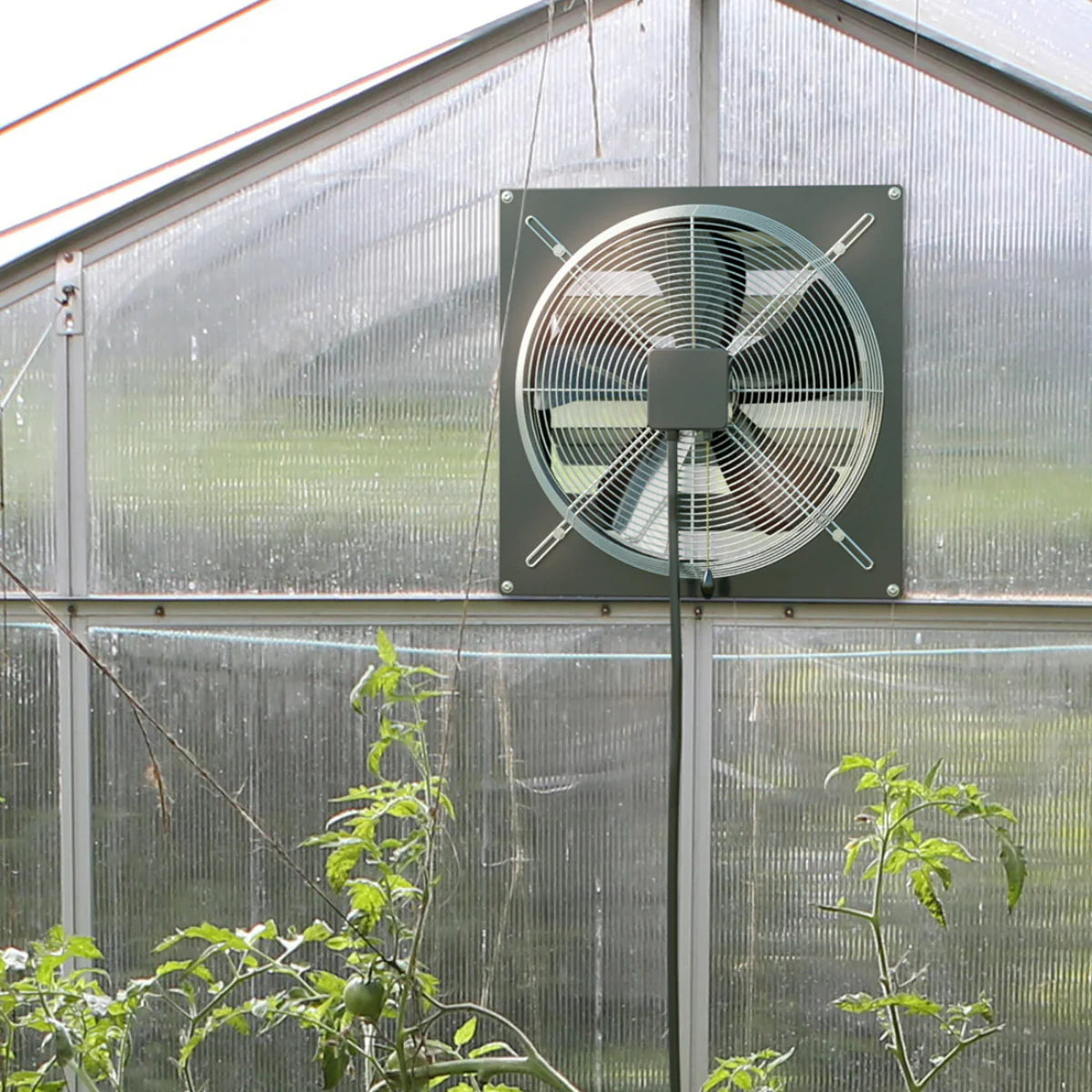 Canarm 36-in XFS36 Single Speed Shutter Mounted Exhaust Fan